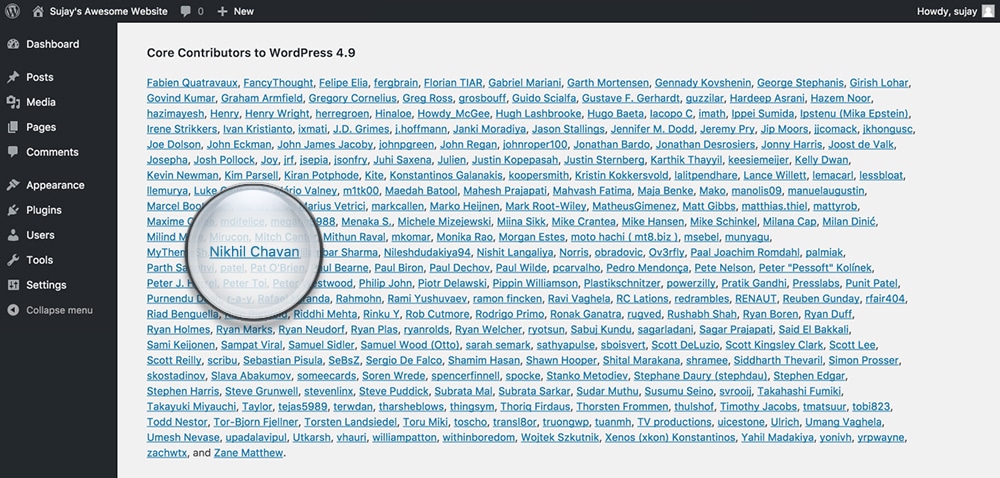 WordPress 4.9 BSF member contributor