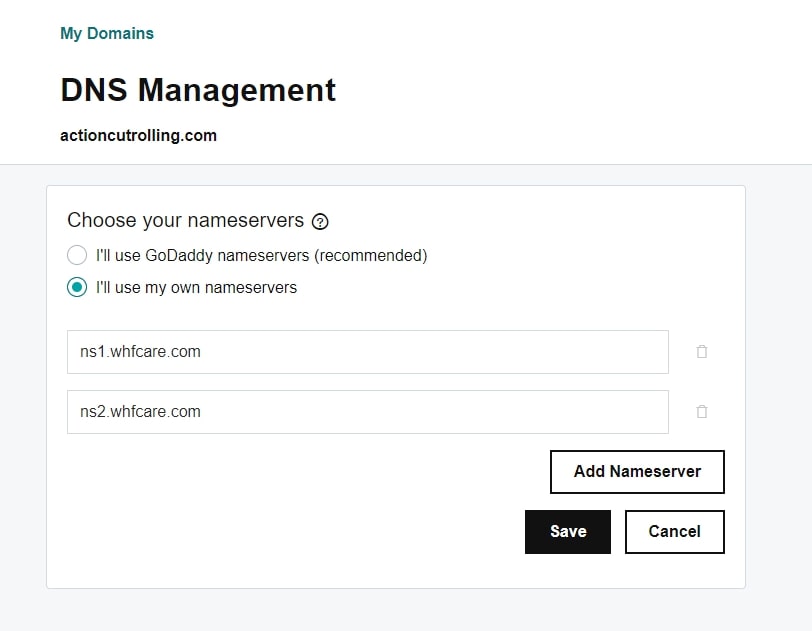 Setting up DNS management on GoDaddy