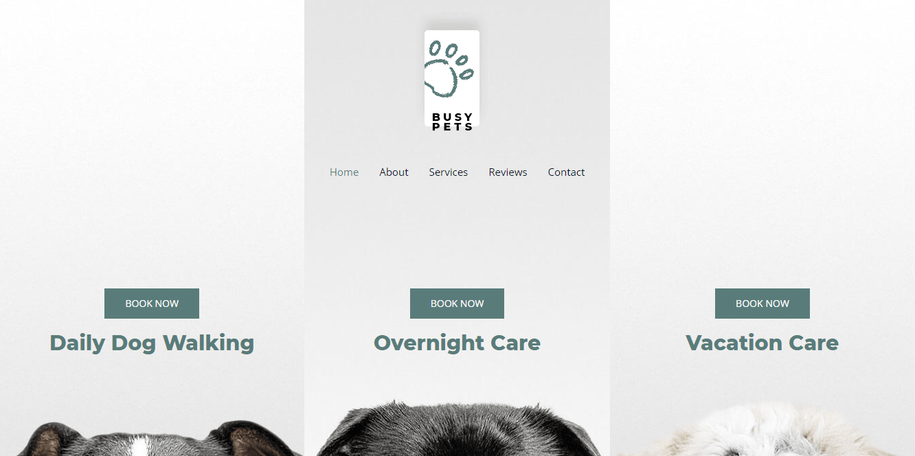 Pet Care Astra Template homepage screenshot