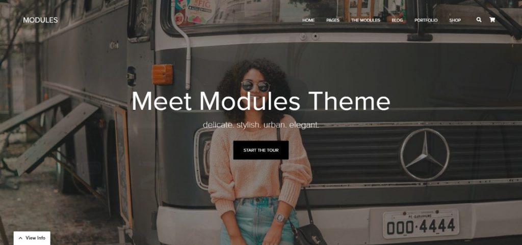 MODULES wordpress theme