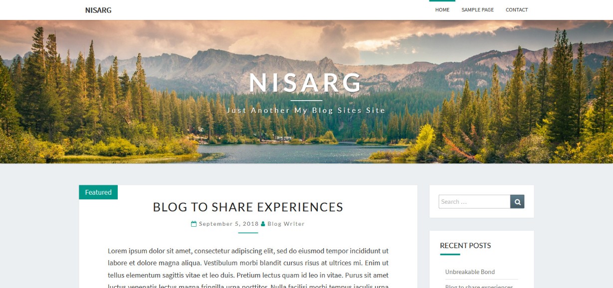 Nisarg simple wordpress theme