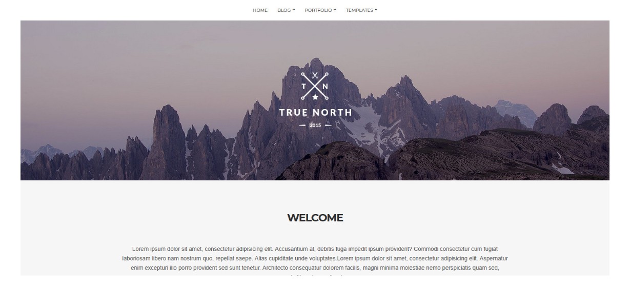 True North demo