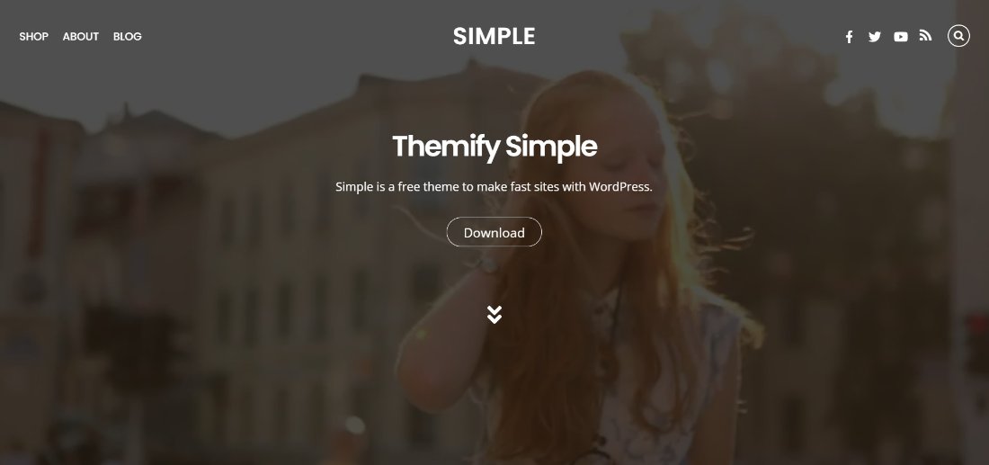 themify Simple wordpress theme demo