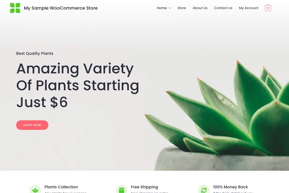 Astra WooCommerce site