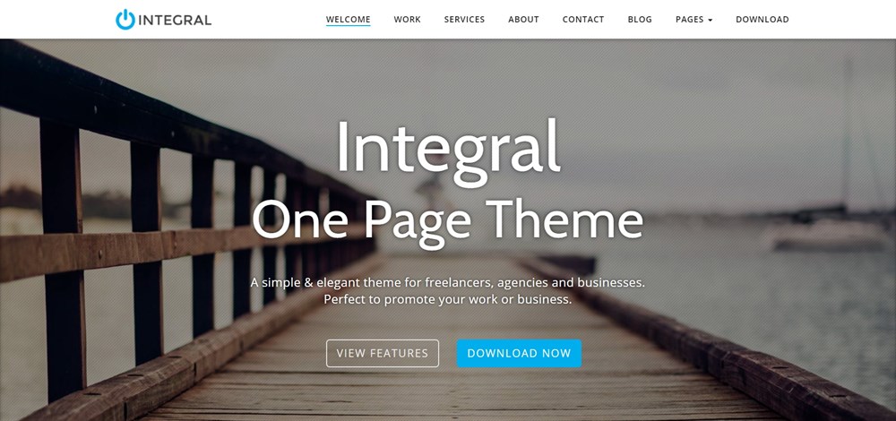 Integral Pro Demo site