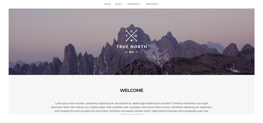 True North free theme