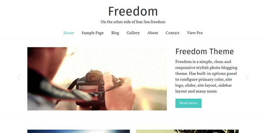 Freedom wordpress theme demo