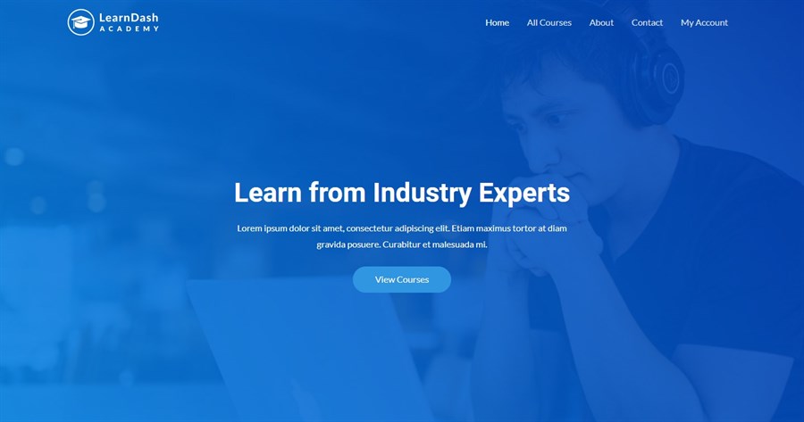 LearnDash Academy template for gutenberg