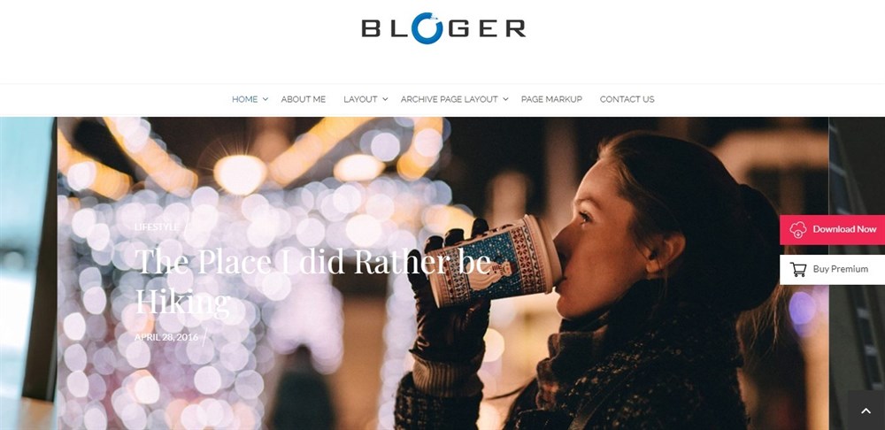 Bloger WordPress theme demo