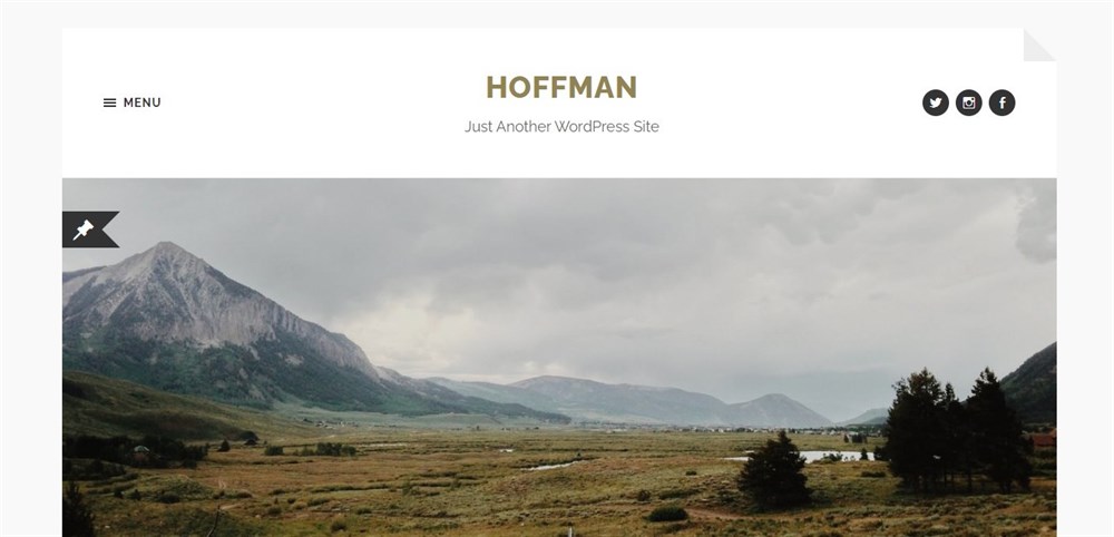 Hoffman demo site