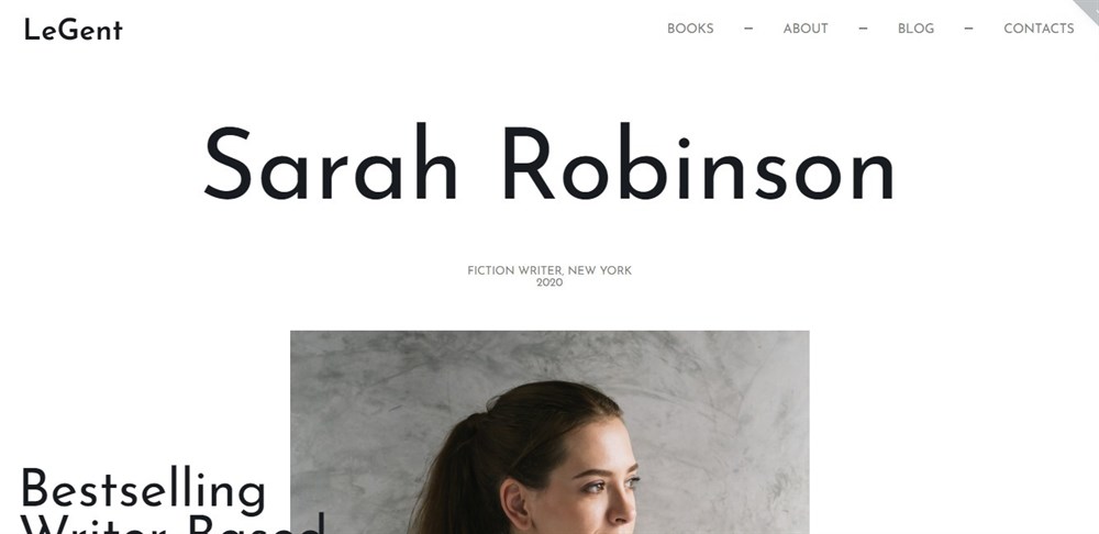 Responsive Book writers and authors WordPress theme