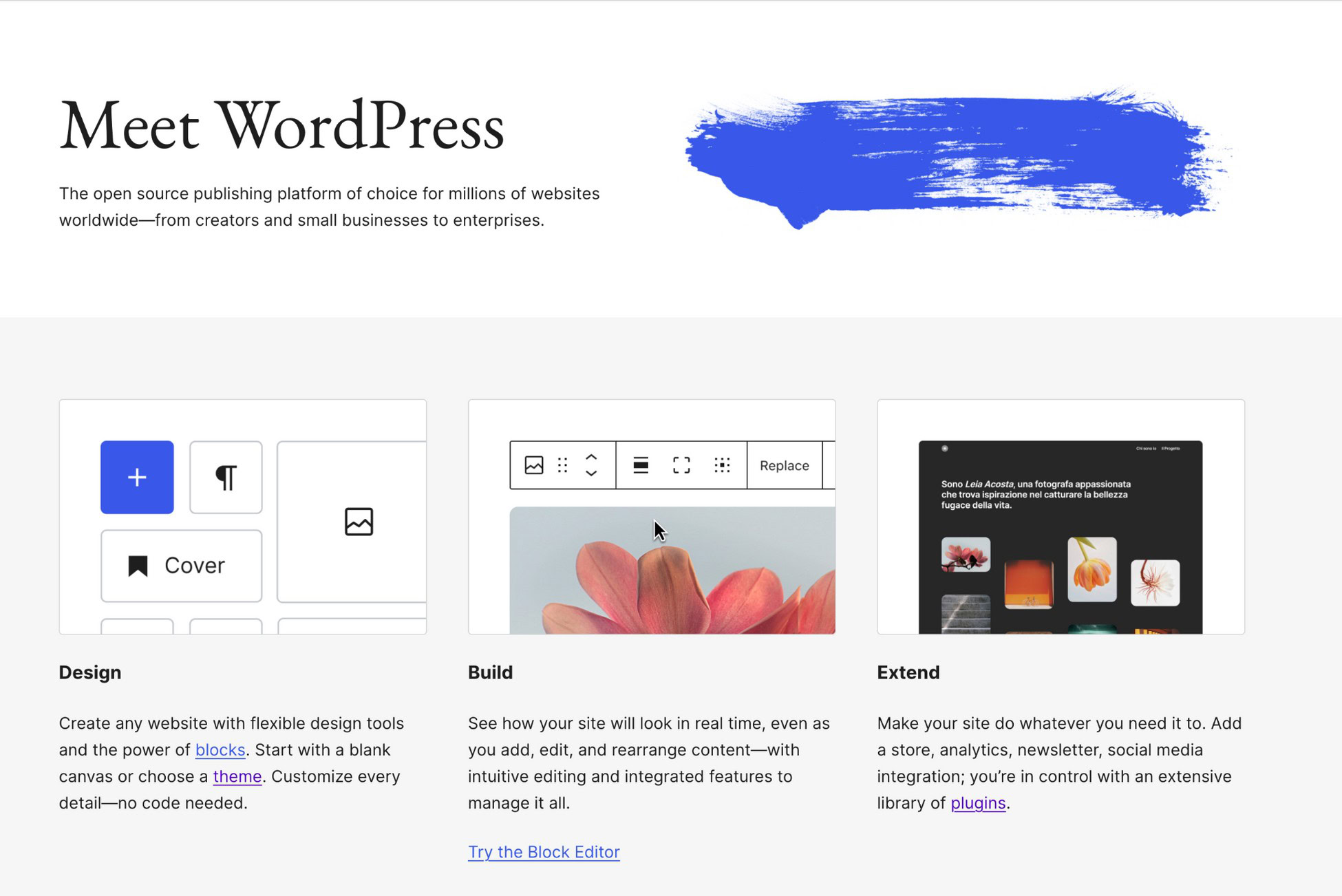 wordpress