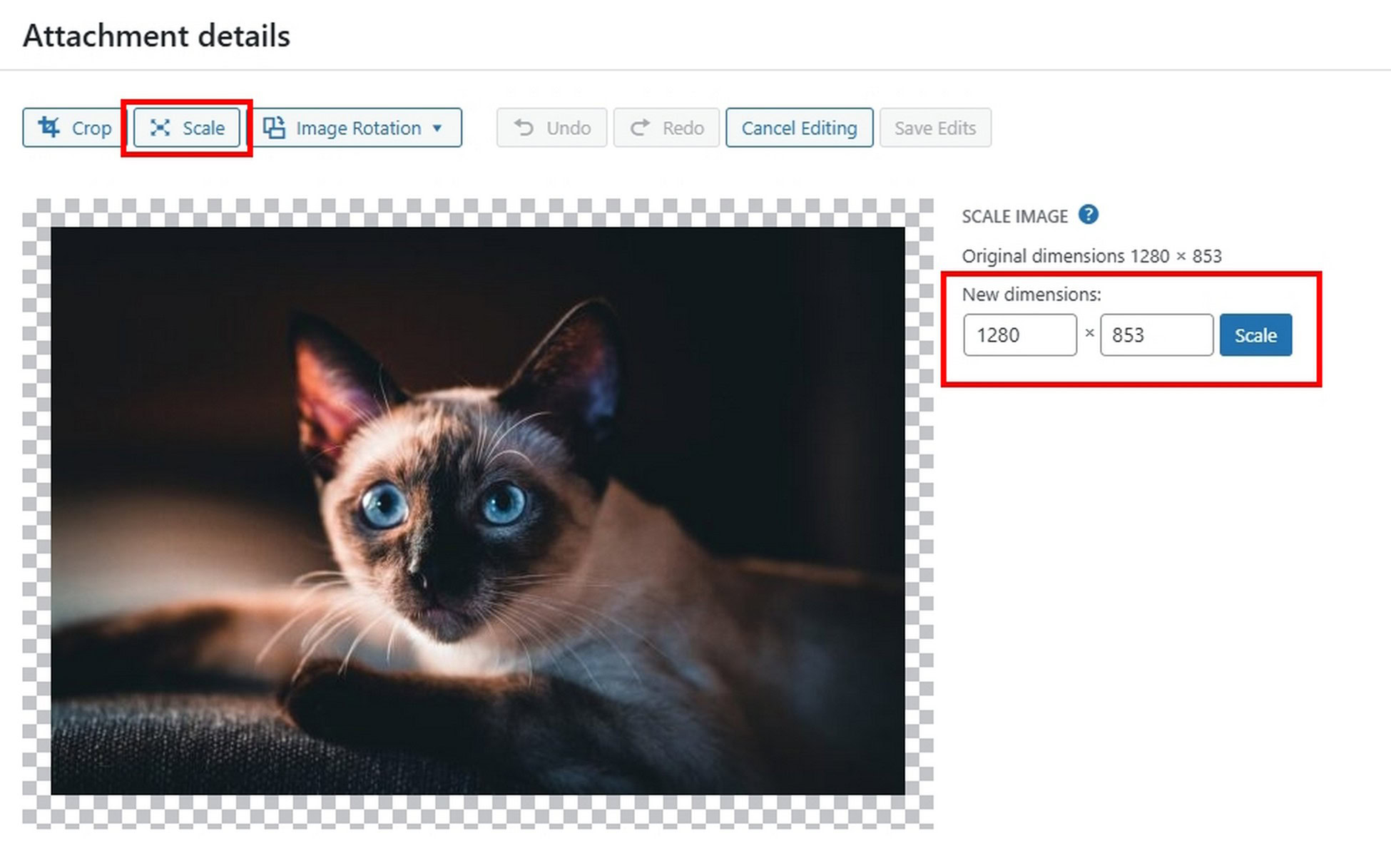 Scaling Featured Images