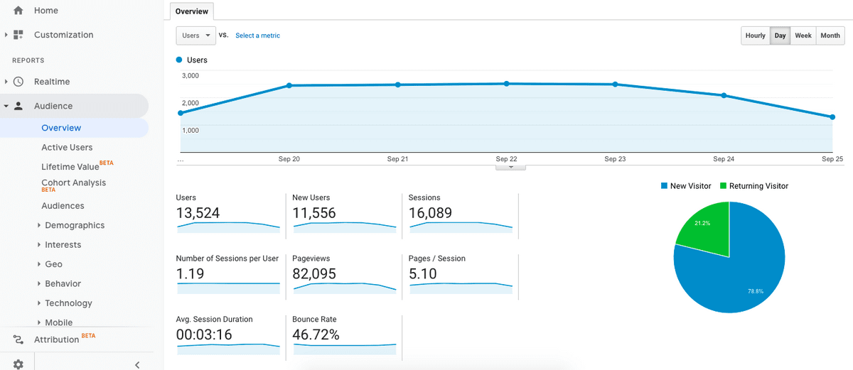 Google analytics audience overview