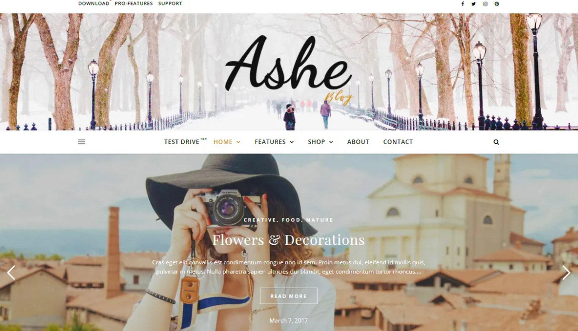 ashe theme template