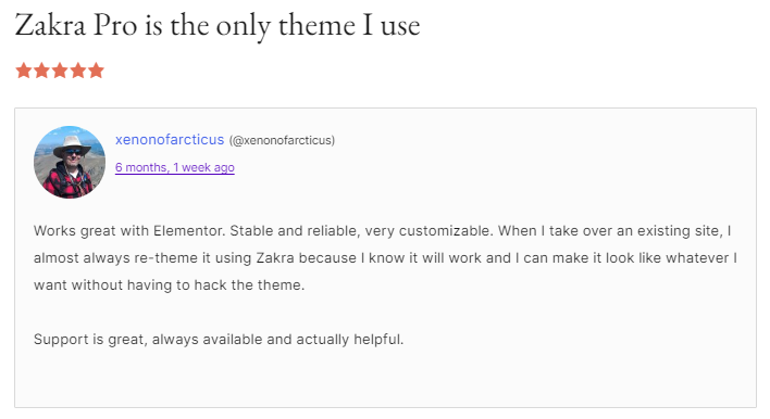 zakra theme review