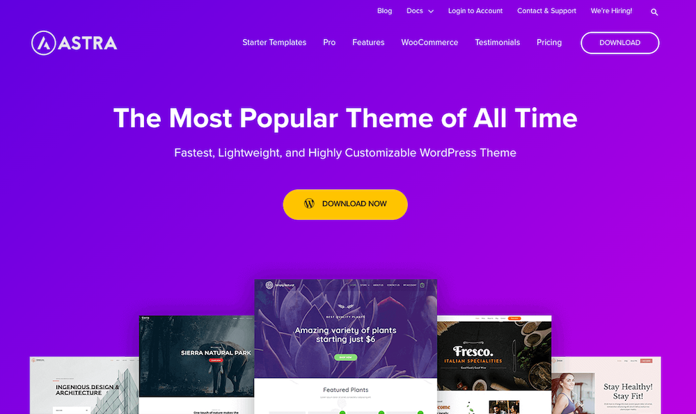 Astra beautiful WordPress themes