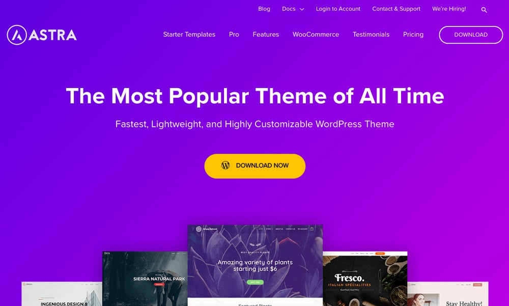 Astra WordPress theme