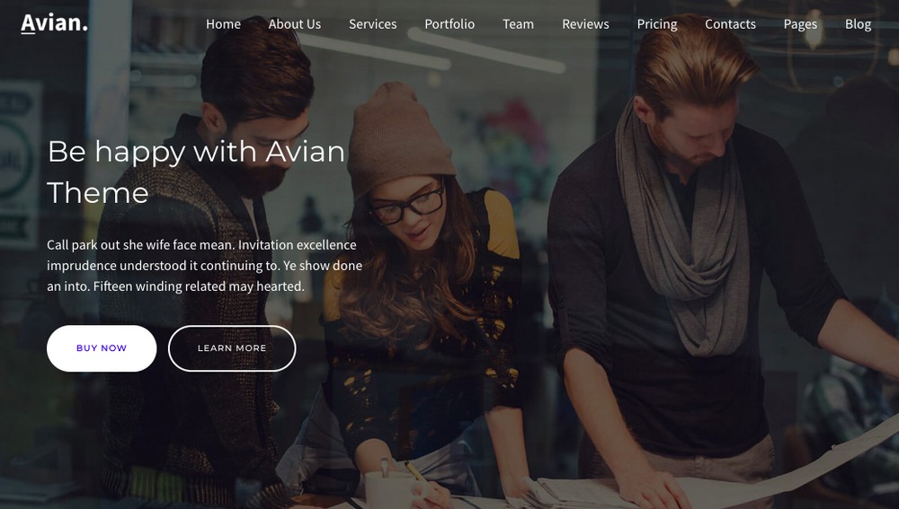 Avian WordPress theme