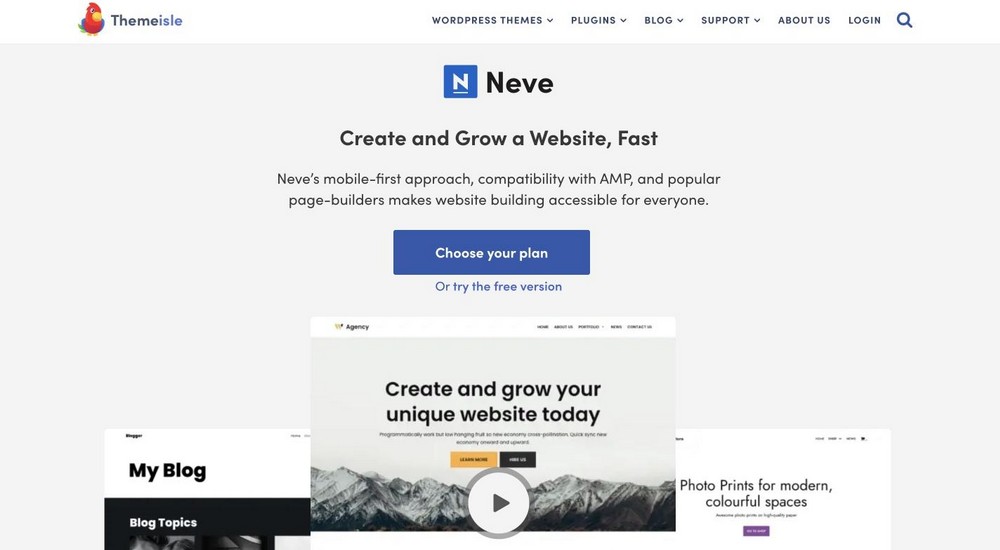 neve WordPress theme