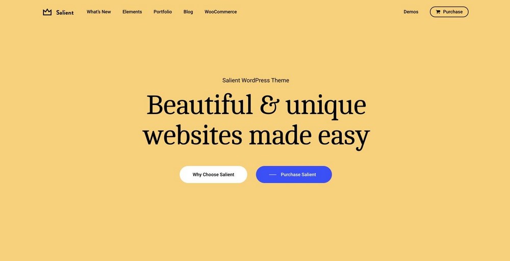 Salient WordPress theme