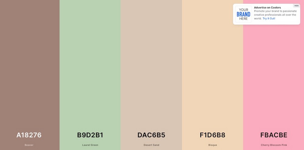 Coolors - color palette generator