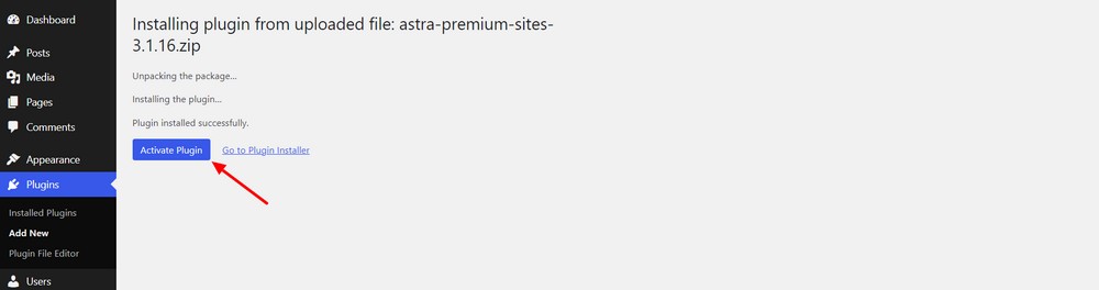 Activate Astra Premium Sites