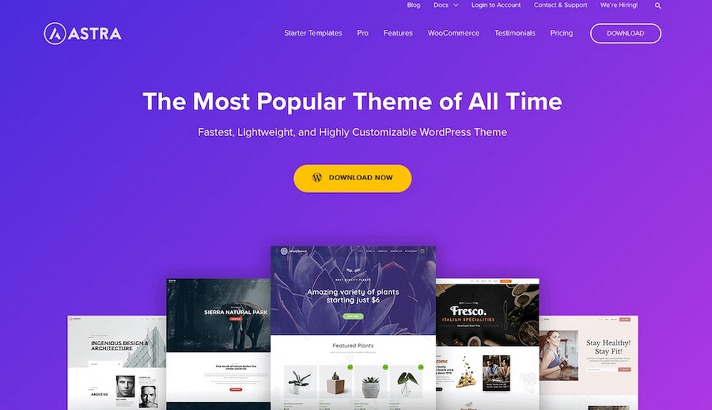 astra wordpress theme