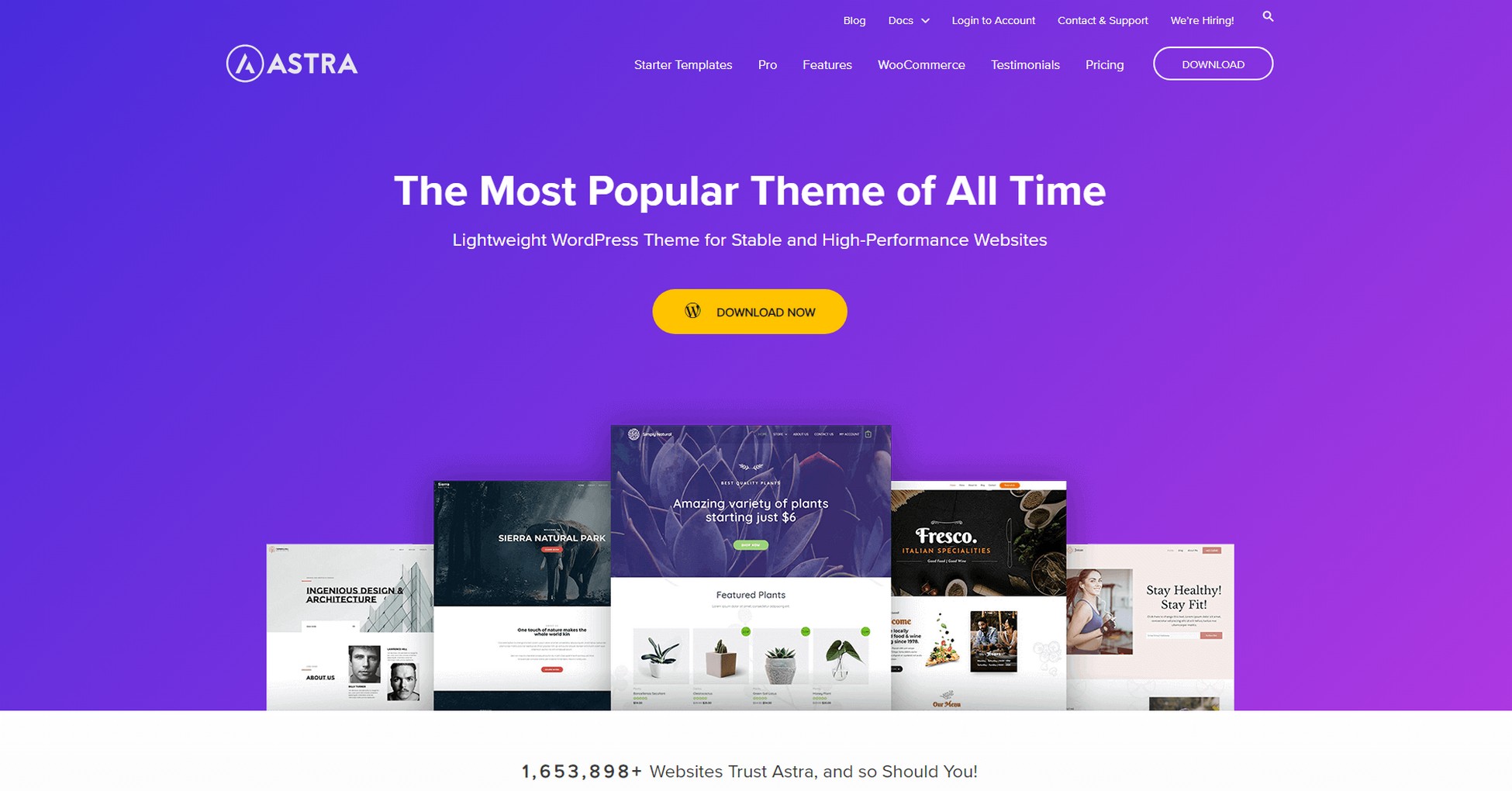 astra-wordpress-theme