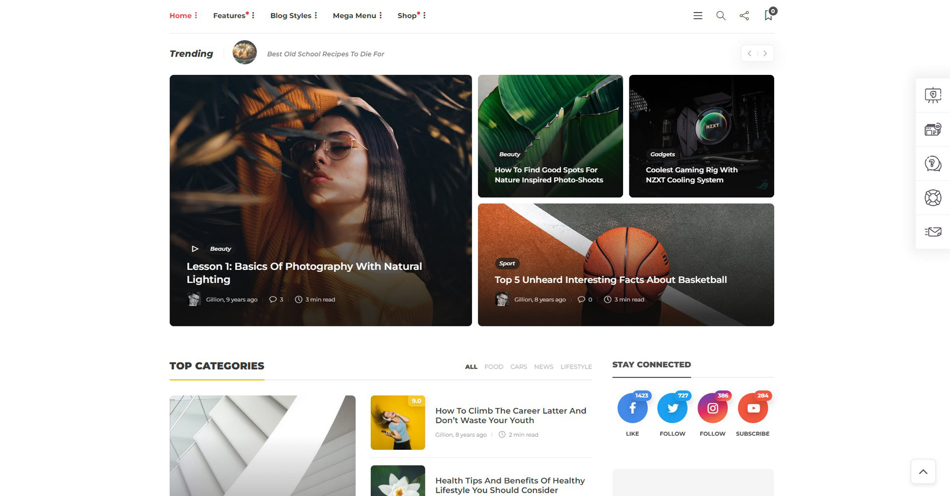 gillion-wordpress-magazine-theme