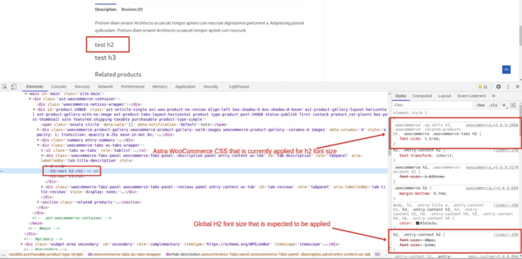 Astra WooCommerce CSS overriding Global H2 tag font size on product page
