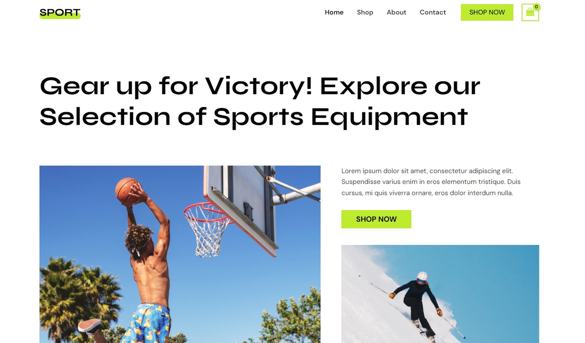 Sports Equipment Store